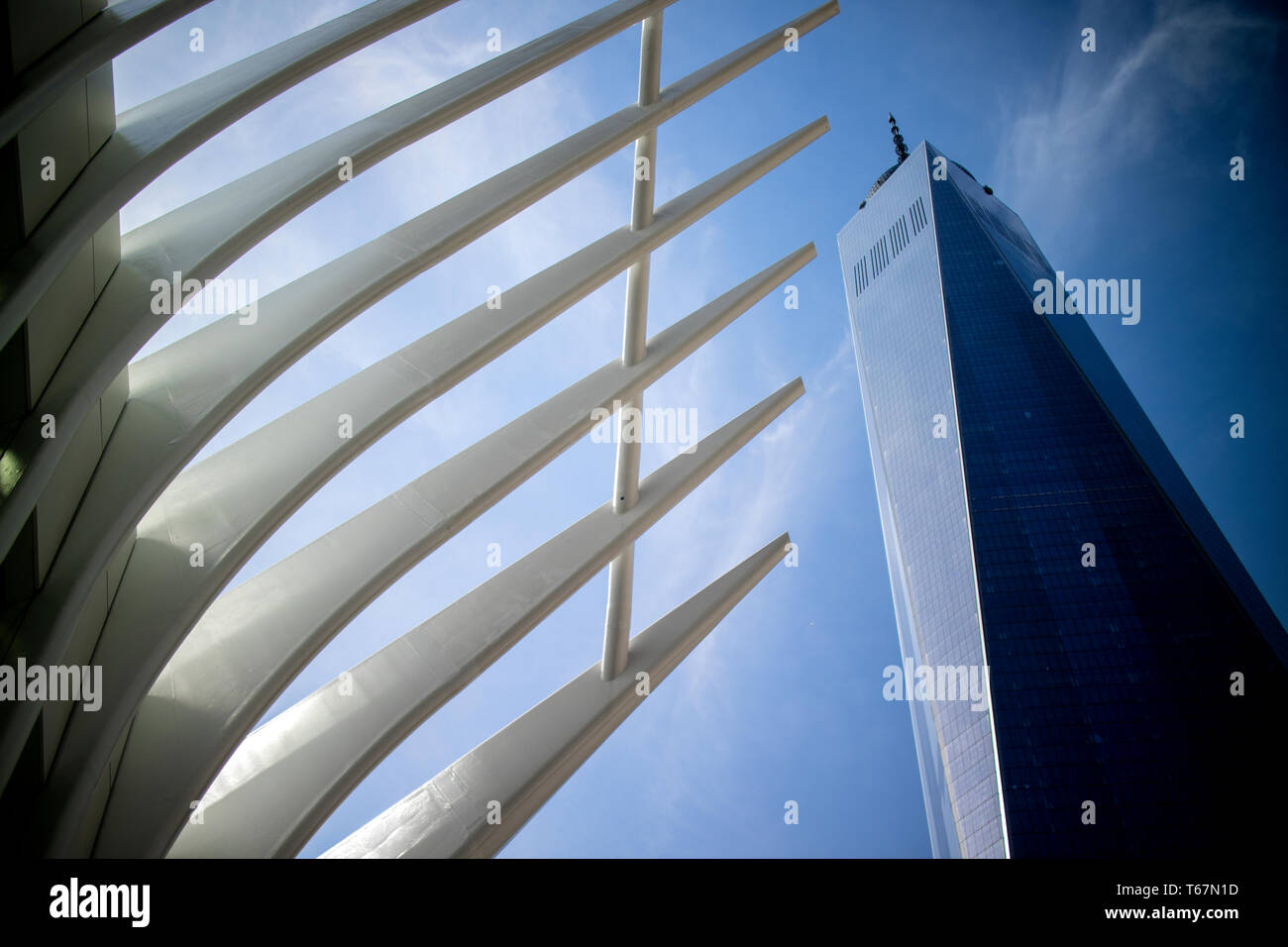 L'Oculus, conçu par l'architecte espagnol Santiago Calatrava au Mémorial National du 11 septembre la Plaza dans le centre-ville de New York. L'Oculus couvre l'atrium et d'un centre commercial qui se branche sur le chemin du métro et train ainsi que le Musée du 11 septembre. Banque D'Images