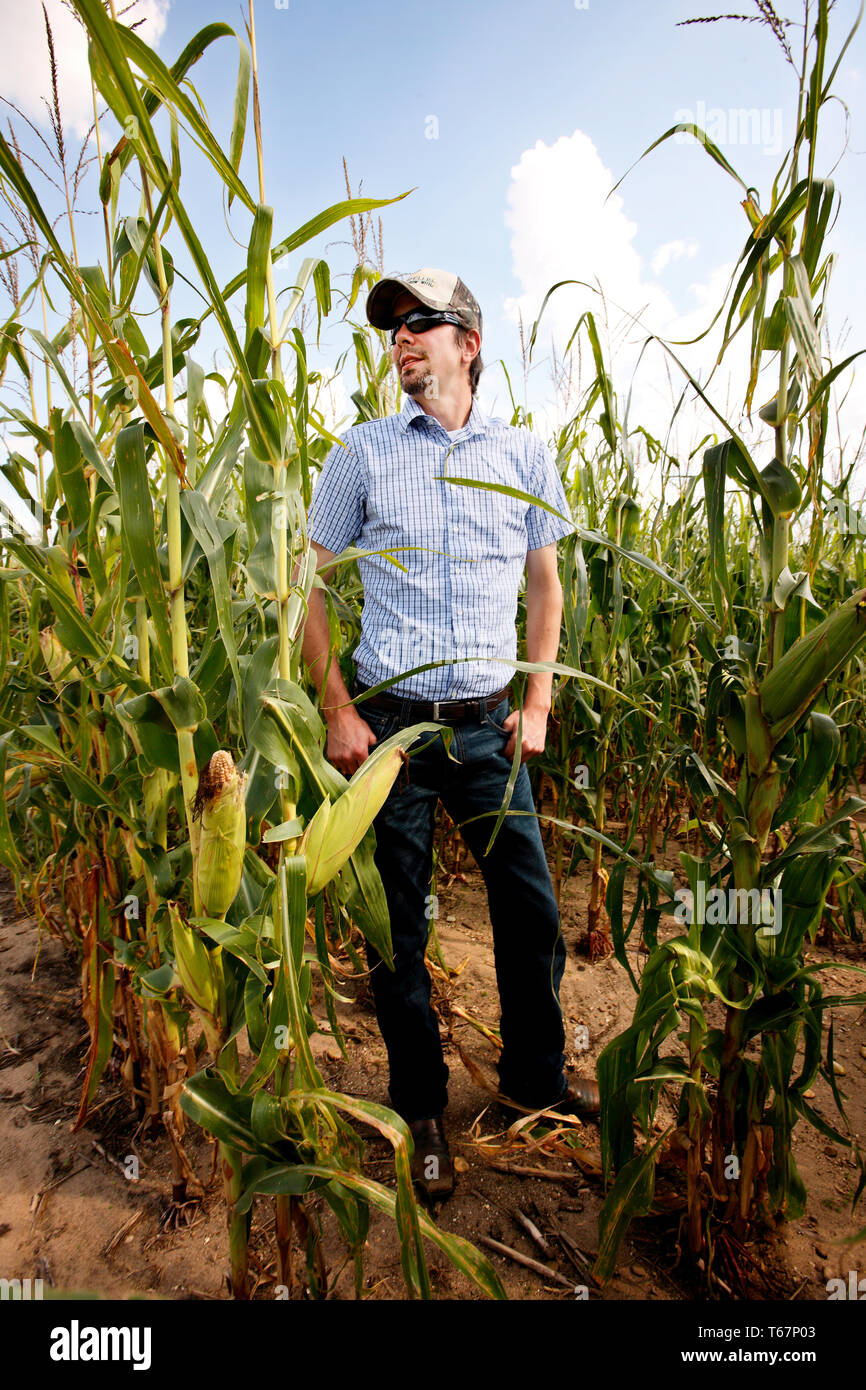 Braden Janowski est un investisseur s'agriculteur. Il a fini par se déplacer avec sa famille à une ferme à Niles, ainsi que la dérive et la ferme avec l'aide d'un assistant Banque D'Images