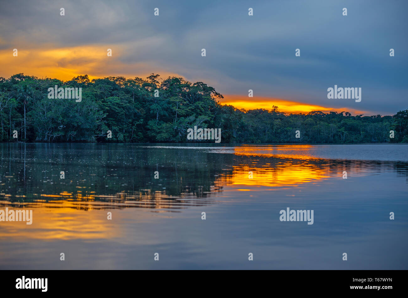 Coucher du soleil par un lagon à l'intérieur du parc national Yasuní, forêt amazonienne, en Equateur. Banque D'Images