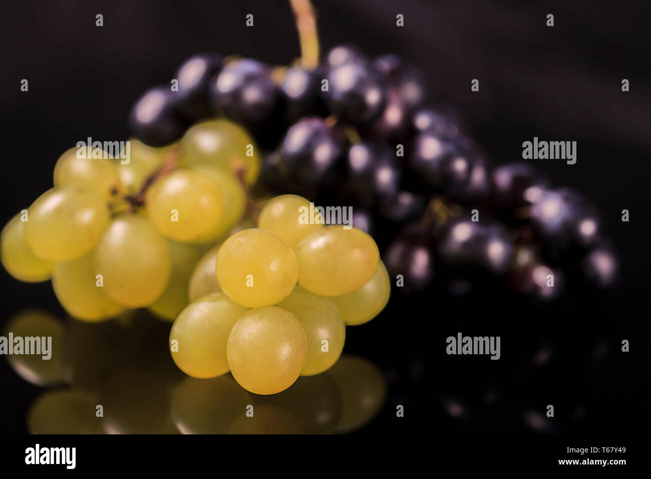 Close-up, les baies de dark et jaune grappe de raisin en faible lumière fond noir miroir Banque D'Images