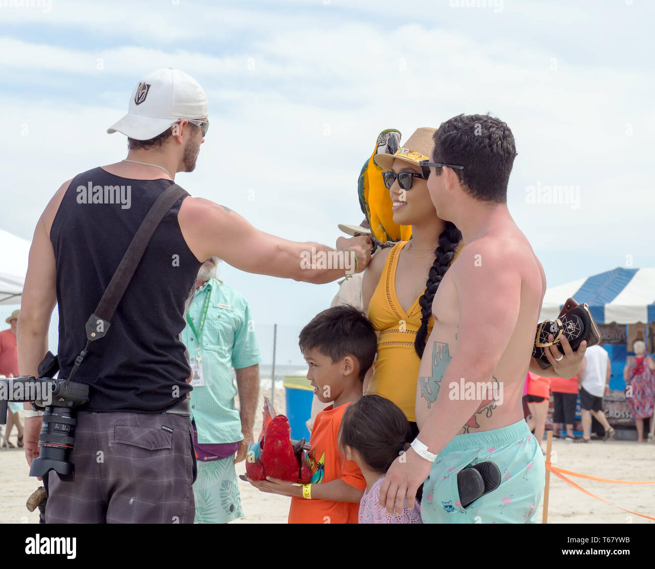 Un photographe met un ara bleu et or sur l'épaule d'une femme avant de prendre une photo au Texas 2019 Sandfest à Port Aransas, Texas USA. Banque D'Images
