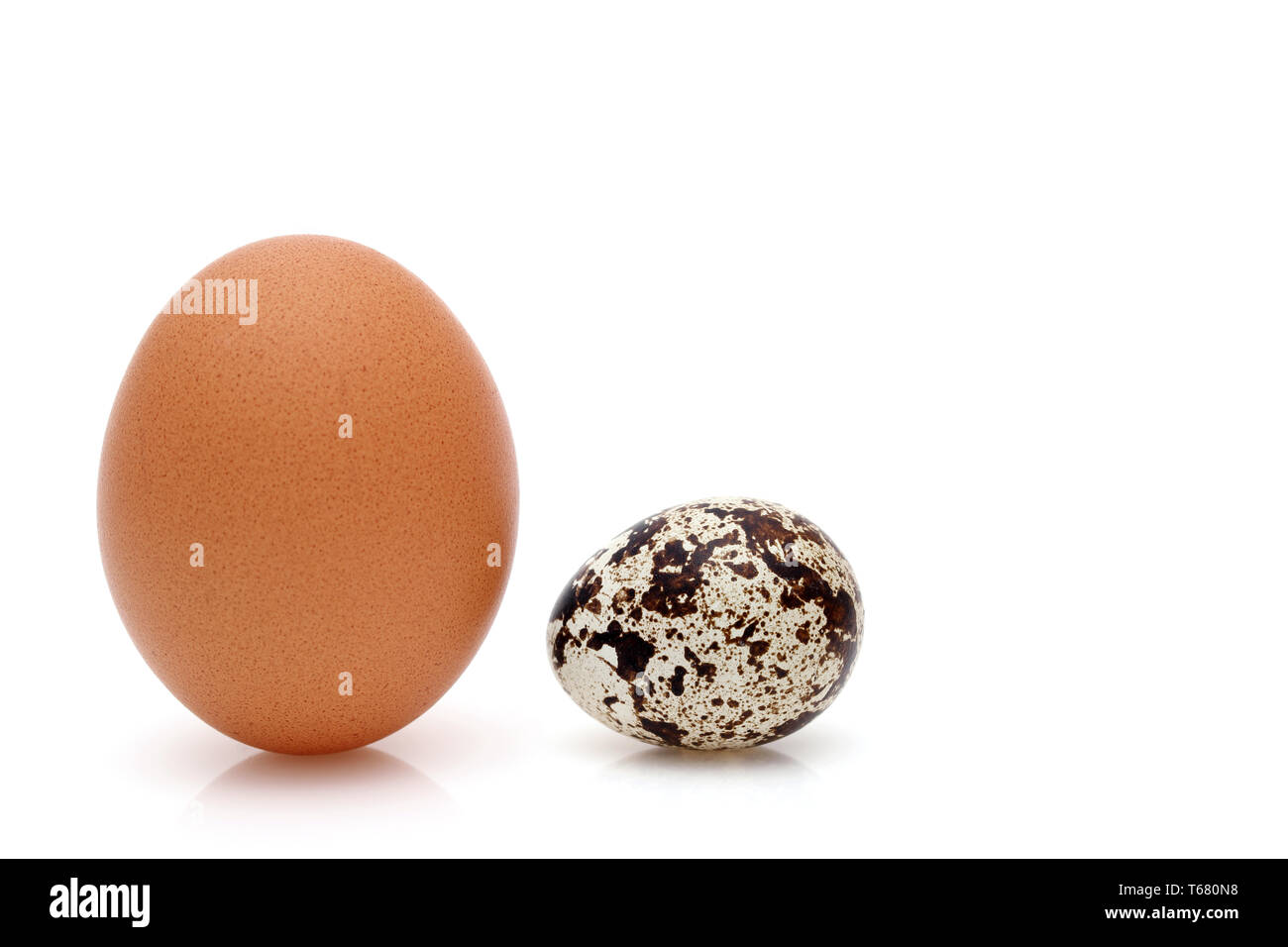 Faire revenir le poulet et les petits oeufs de caille sur fond blanc Banque D'Images