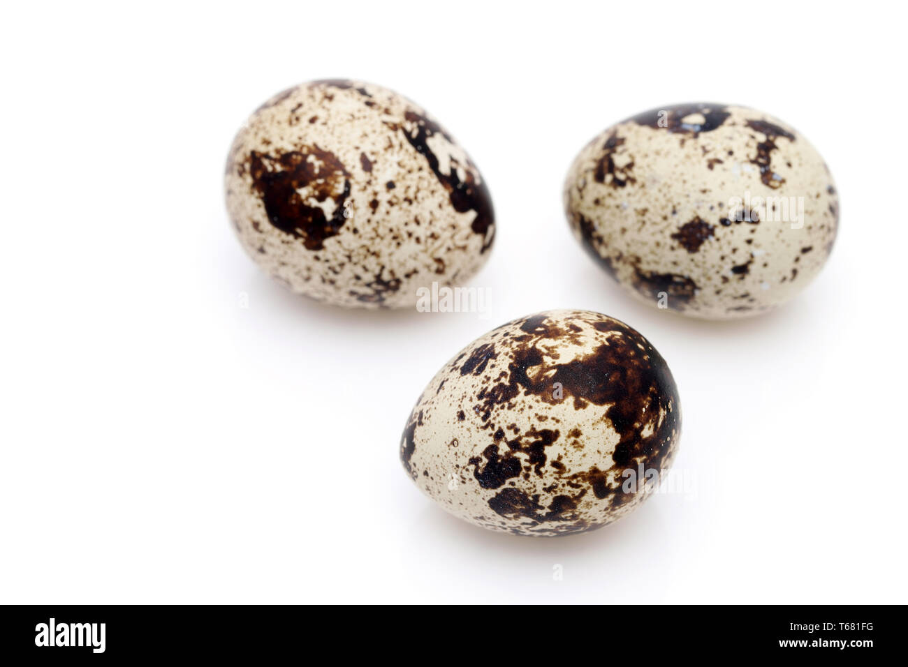 Oeufs de caille sur un fond blanc, dans un studio shot Banque D'Images
