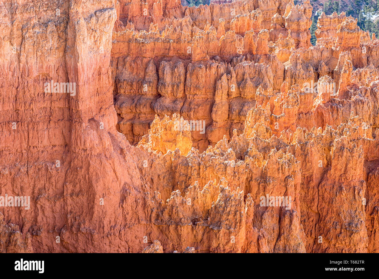Les formations rocheuses en vue de l'Amphithéâtre de Bryce Sunset Point. Bryce Canyon National Park, Utah, USA. Banque D'Images