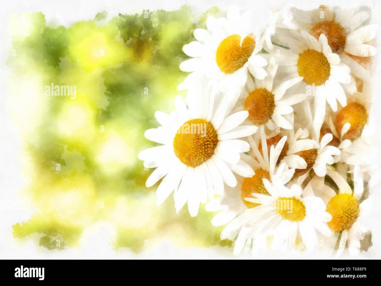 Champ de fleurs Daisy printemps vintage Banque D'Images