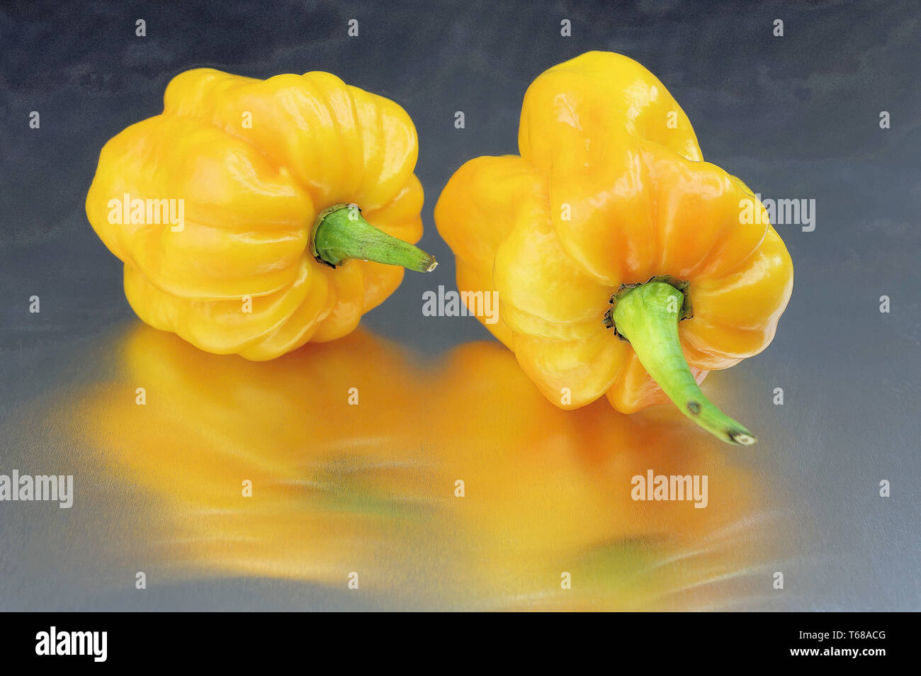 Le piment (Capsicum chinense), Banque D'Images