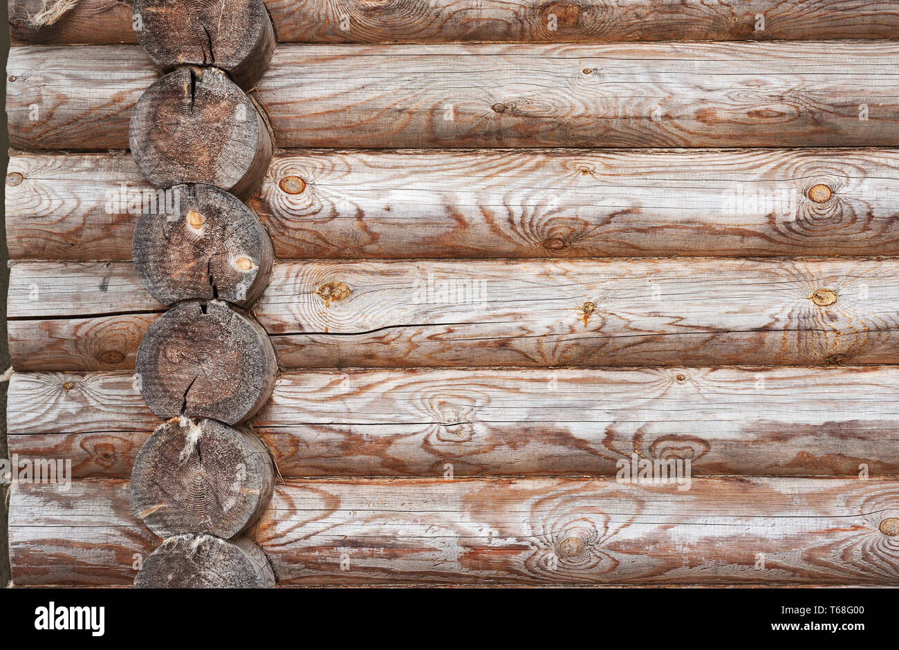 Motif de fond naturel de log mur. Banque D'Images