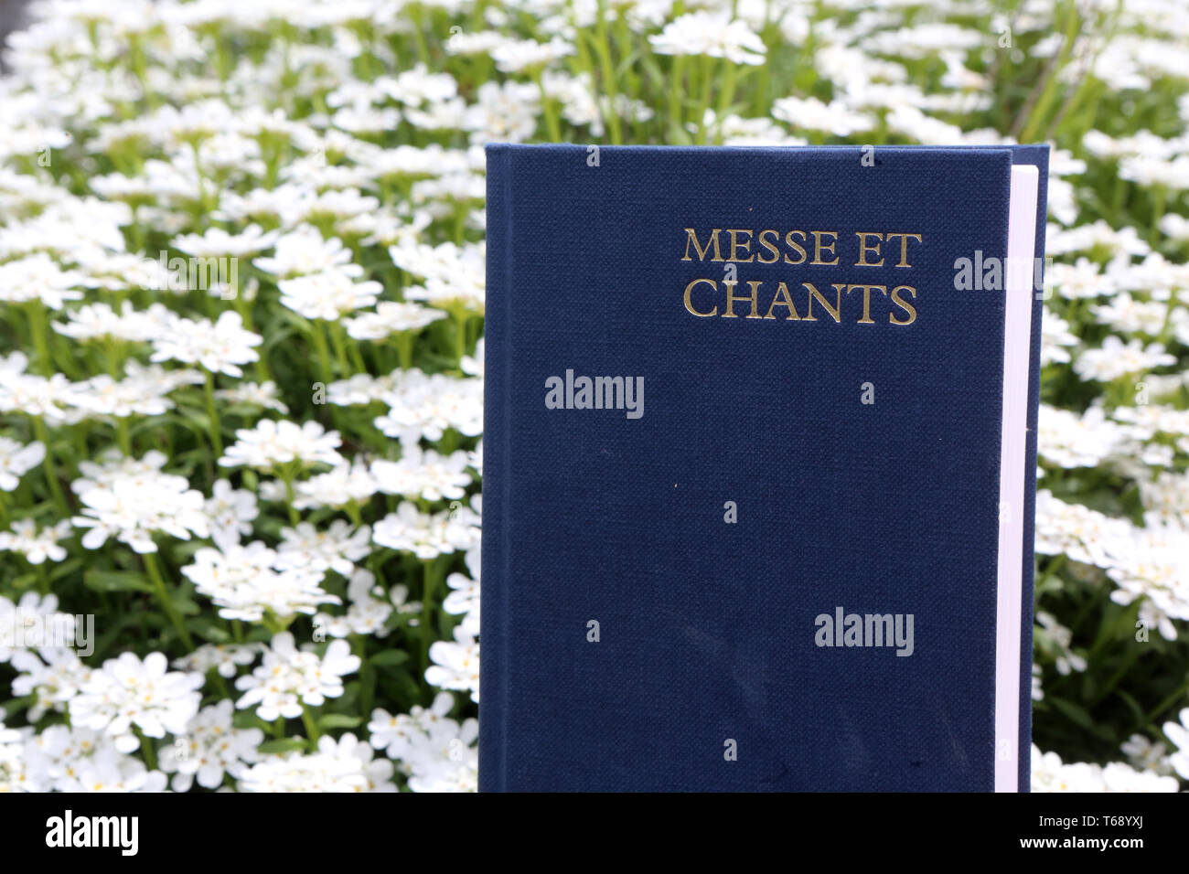 Chant liturgique Banque de photographies et d’images à haute résolution