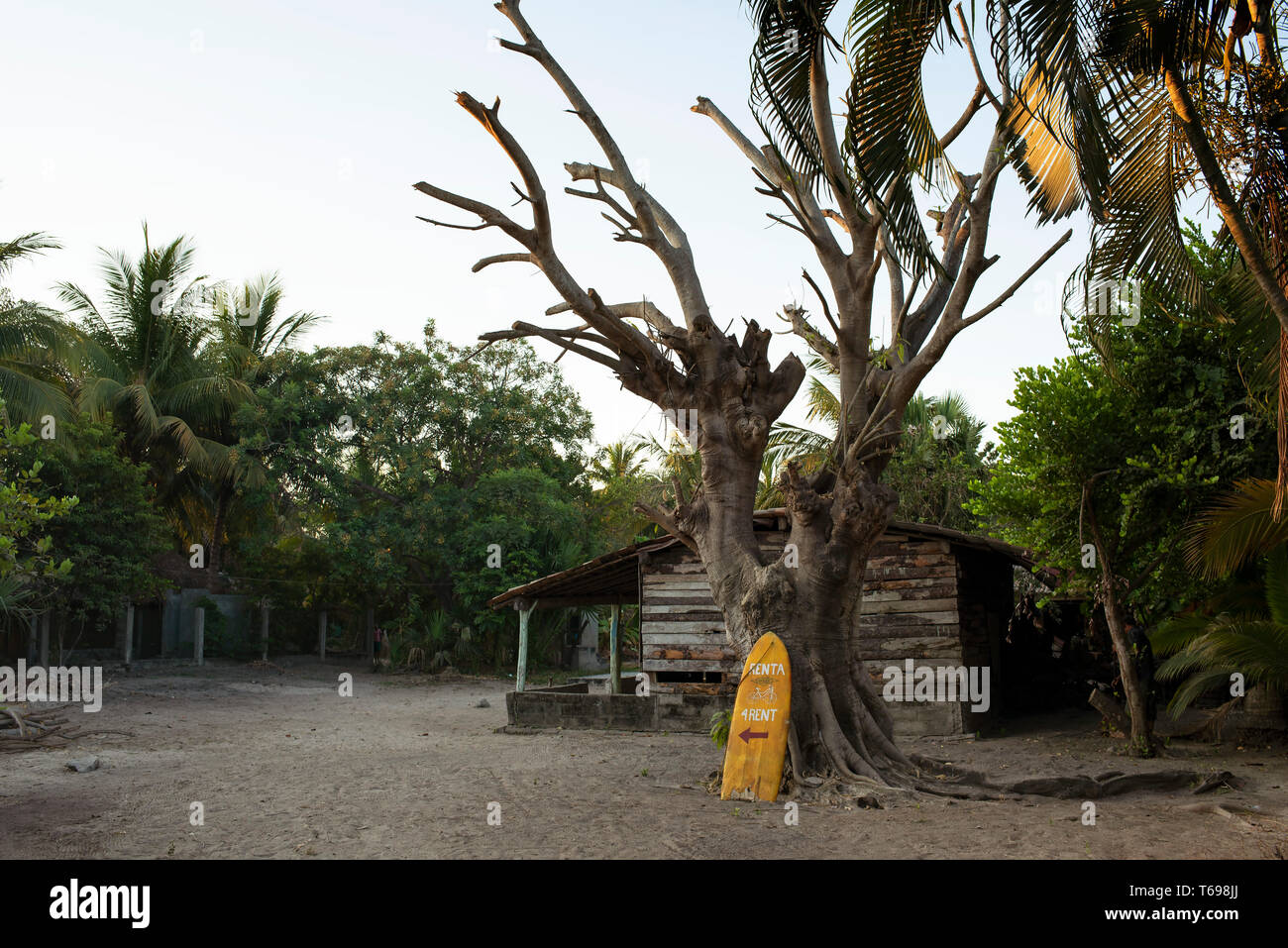 Bungalow intérieur et une entreprise de location de planches de surf dans le village côtier de Chacahua Parc National, l'État de Oaxaca, Mexique. Apr 2019 Banque D'Images