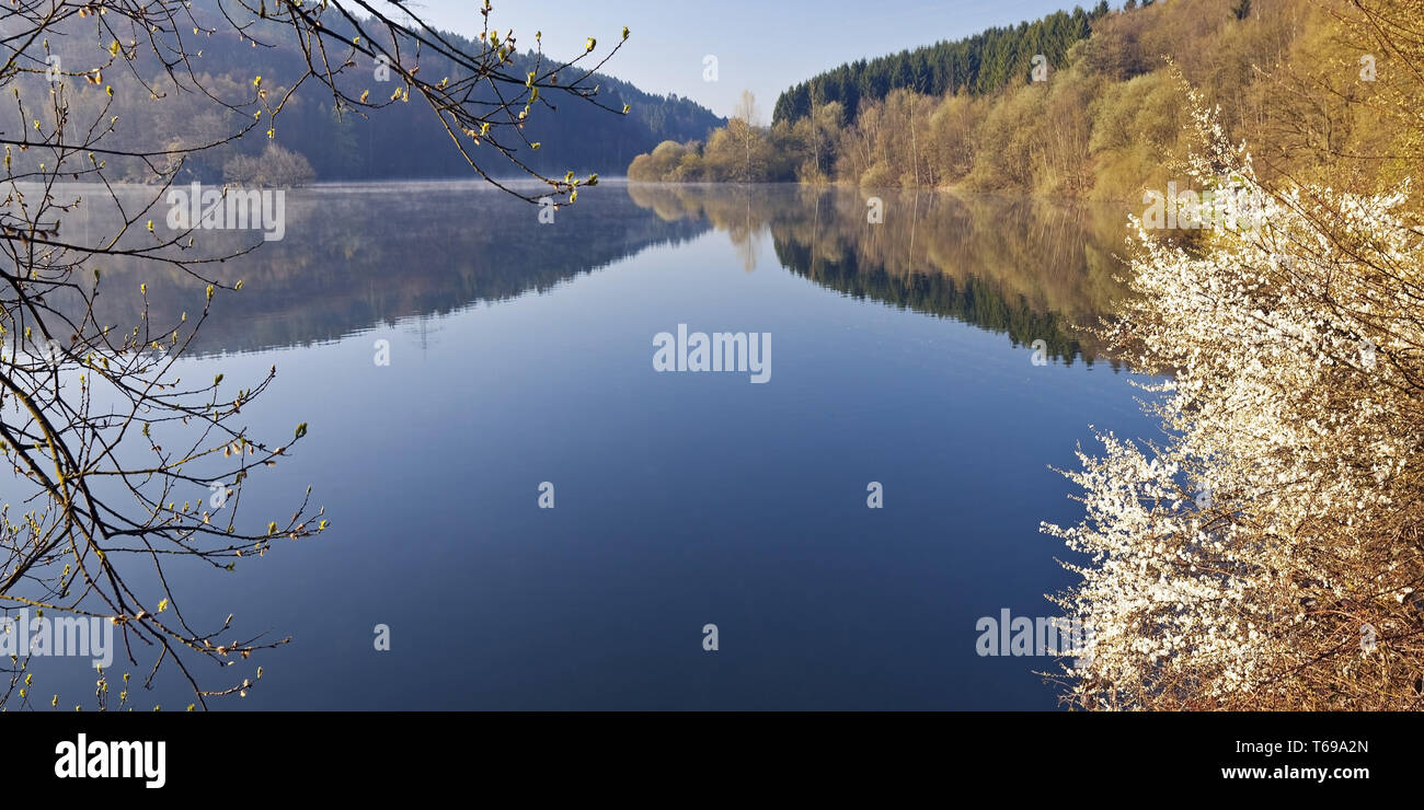 Wuppertalsperre, Remscheid, région du Bergisches Land, Rhénanie du Nord-Westphalie, Allemagne, Europa Banque D'Images