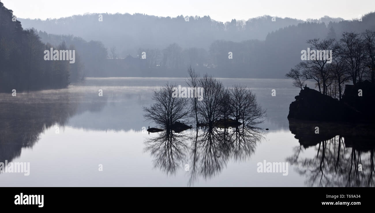 Wuppertalsperre, Remscheid, région du Bergisches Land, Rhénanie du Nord-Westphalie, Allemagne, Europa Banque D'Images