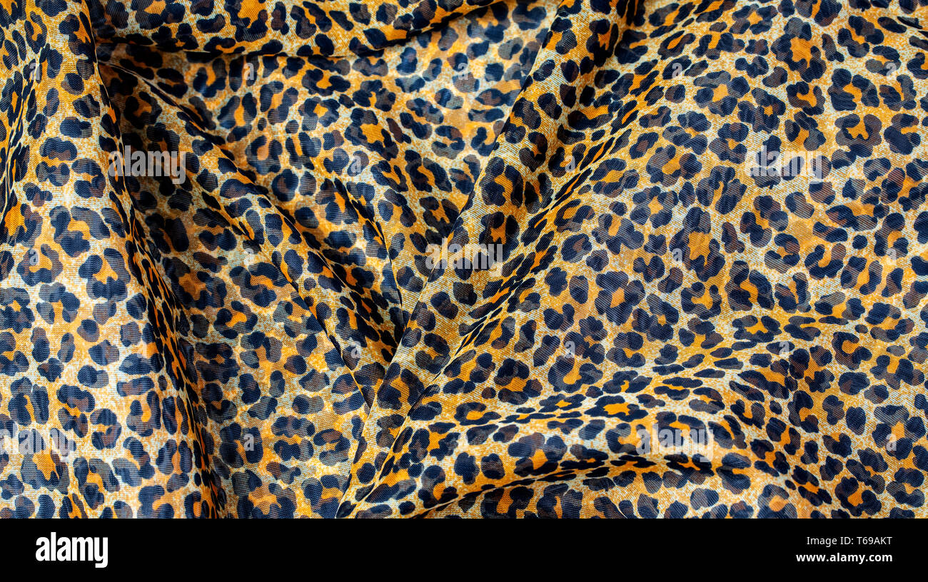 Leopard print, texture de fond, motif de tissu, motif animal sauvage Banque D'Images