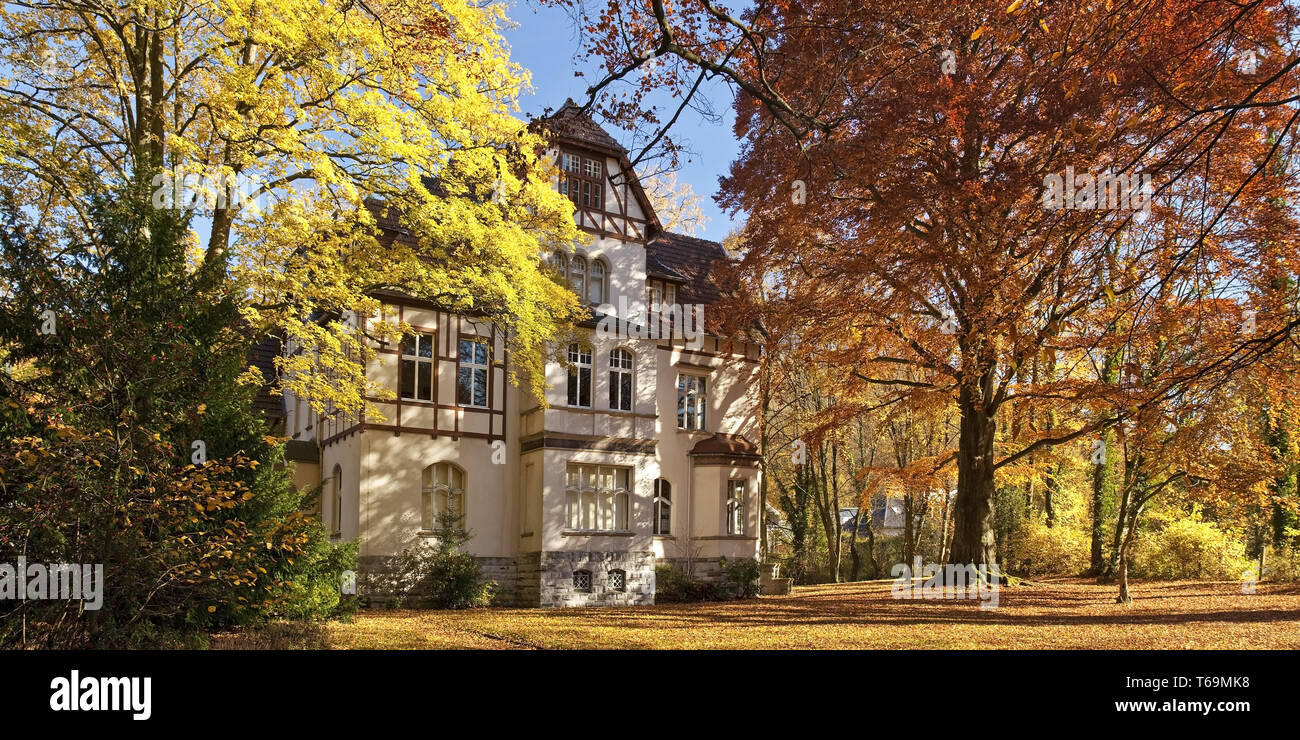 Musée de felsenmeer en automne, Hemer, Sauerland, Nordrhein-Westfalen, Germany, Europe Banque D'Images