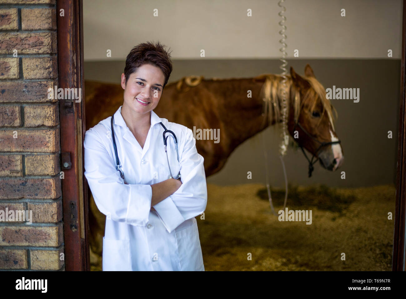 Portrait of smiling woman vet posant devant un cheval malade Banque D'Images