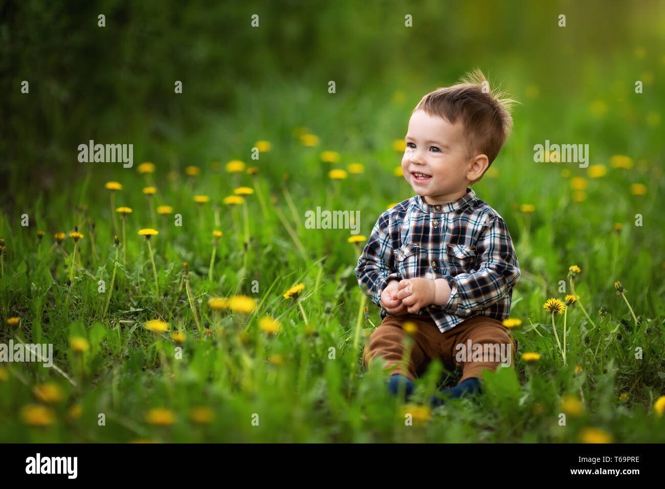 Petit garçon assis dans la prairie en fleurs Banque D'Images