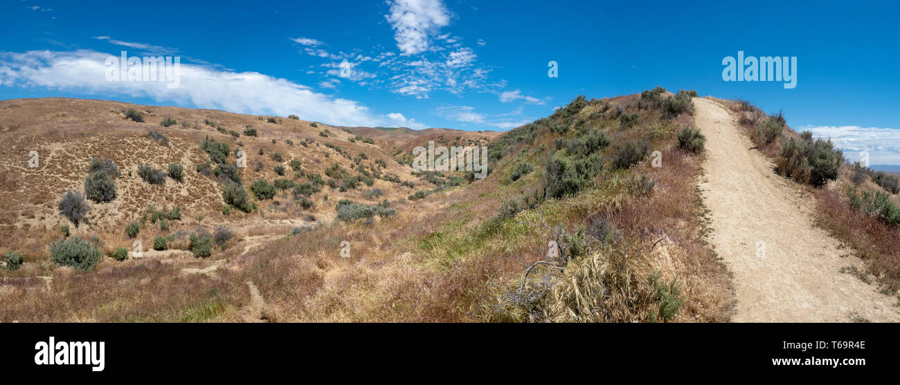 Wallace Creek Trail, faille de San Andreas, Carizzo Plain Monument National le jour de printemps ensoleillé, comté de Kern, en Californie, la Vallée Centrale Banque D'Images