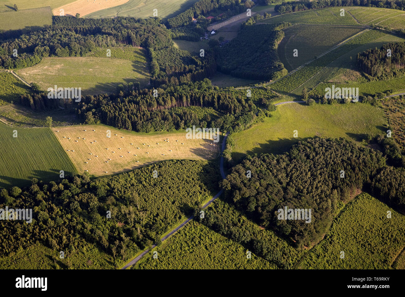 Vue aérienne d'un paysage en été, Eslohe, Sauerland, Rhénanie du Nord-Westphalie, Allemagne, Europe Banque D'Images