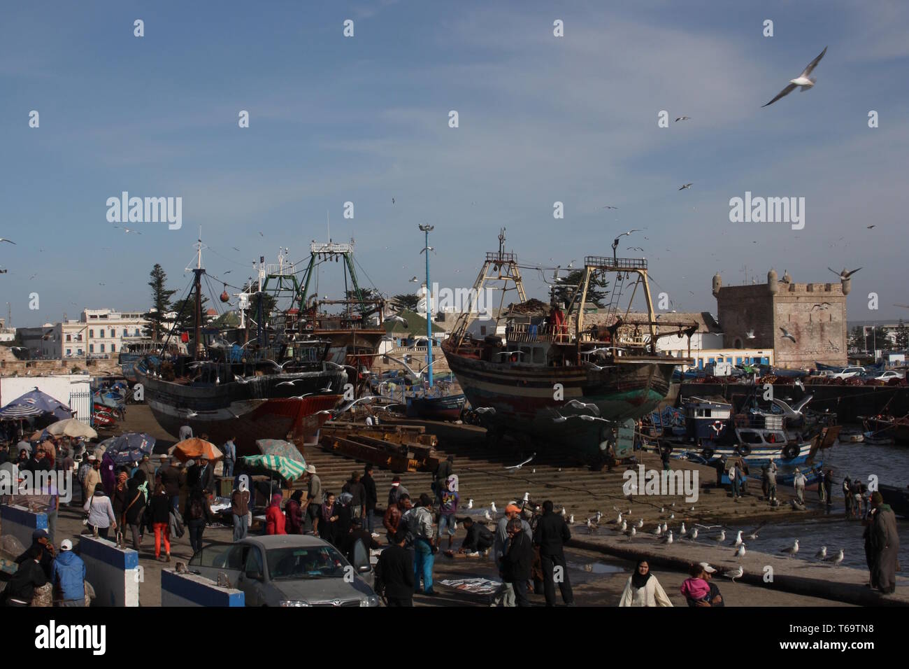 Le Maroc, de bateaux de pêche dans le port d'Essaouira Banque D'Images