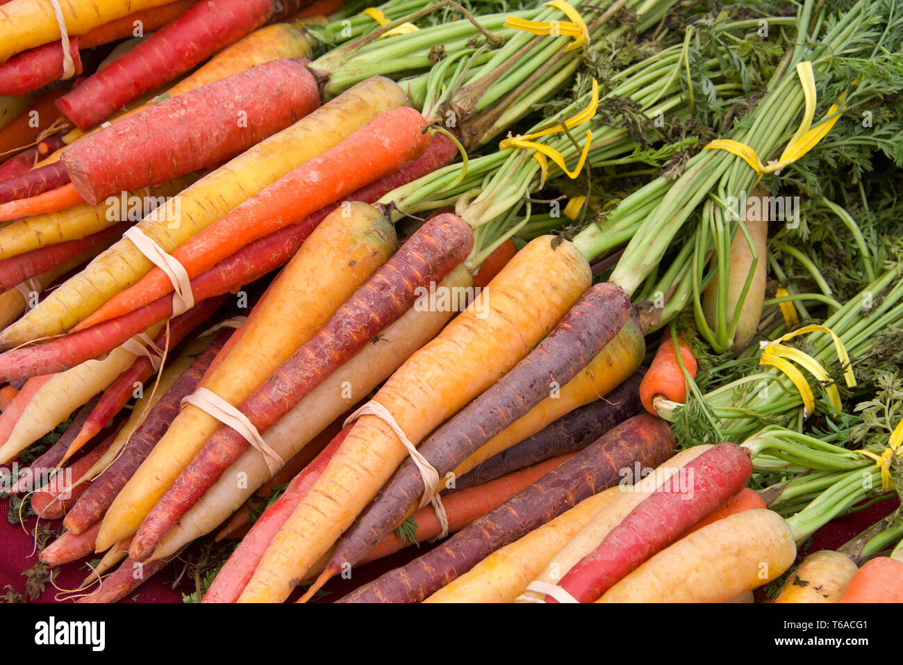 Carottes arc-en-ciel en paquets avec des élastiques et attaches torsadées sur table au marché de fermiers. L'alimentation d'été frais du printemps Banque D'Images