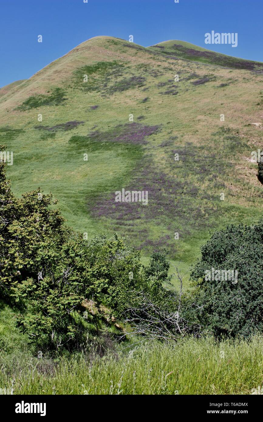 Black Diamond Mines Regional Preserve et Antioch, Californie Banque D'Images
