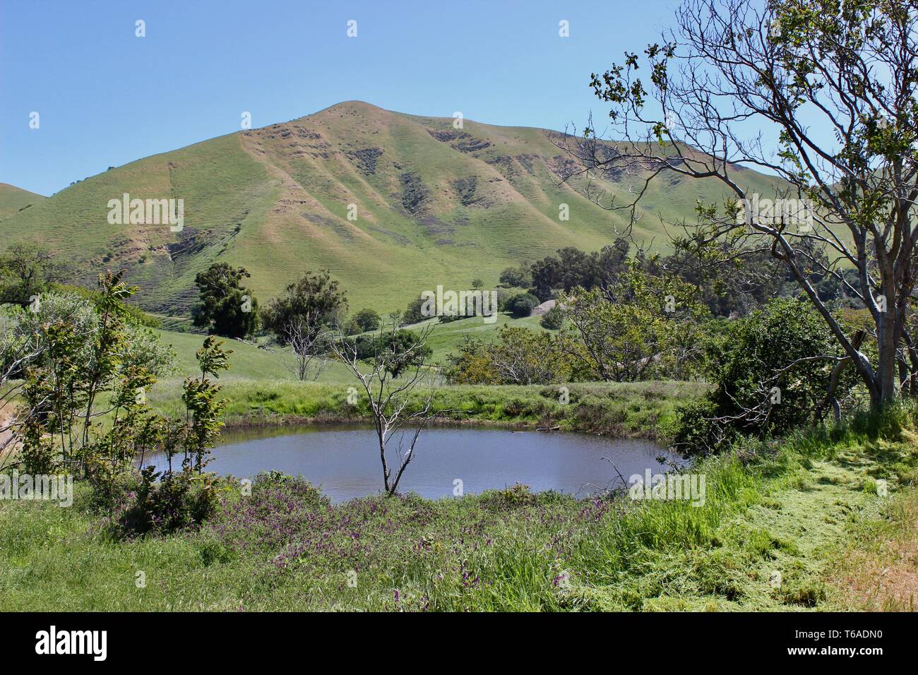Black Diamond Mines Regional Preserve et Antioch, Californie Banque D'Images