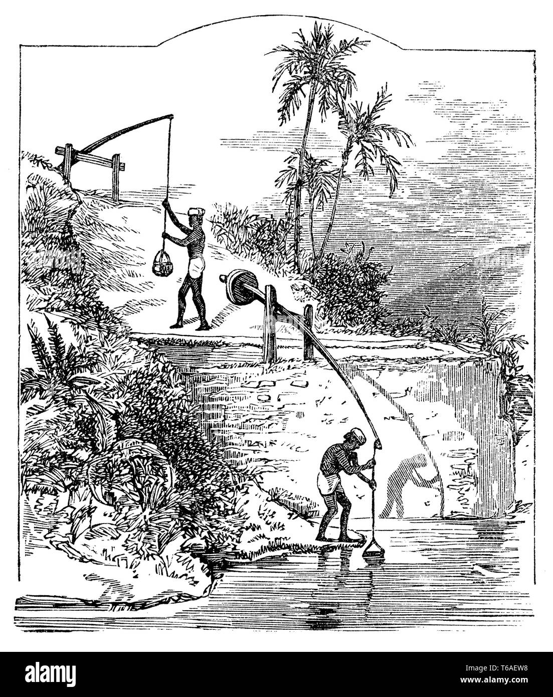 Shadoof, appareil égyptien pour déplacer l'eau, 1885 Banque D'Images
