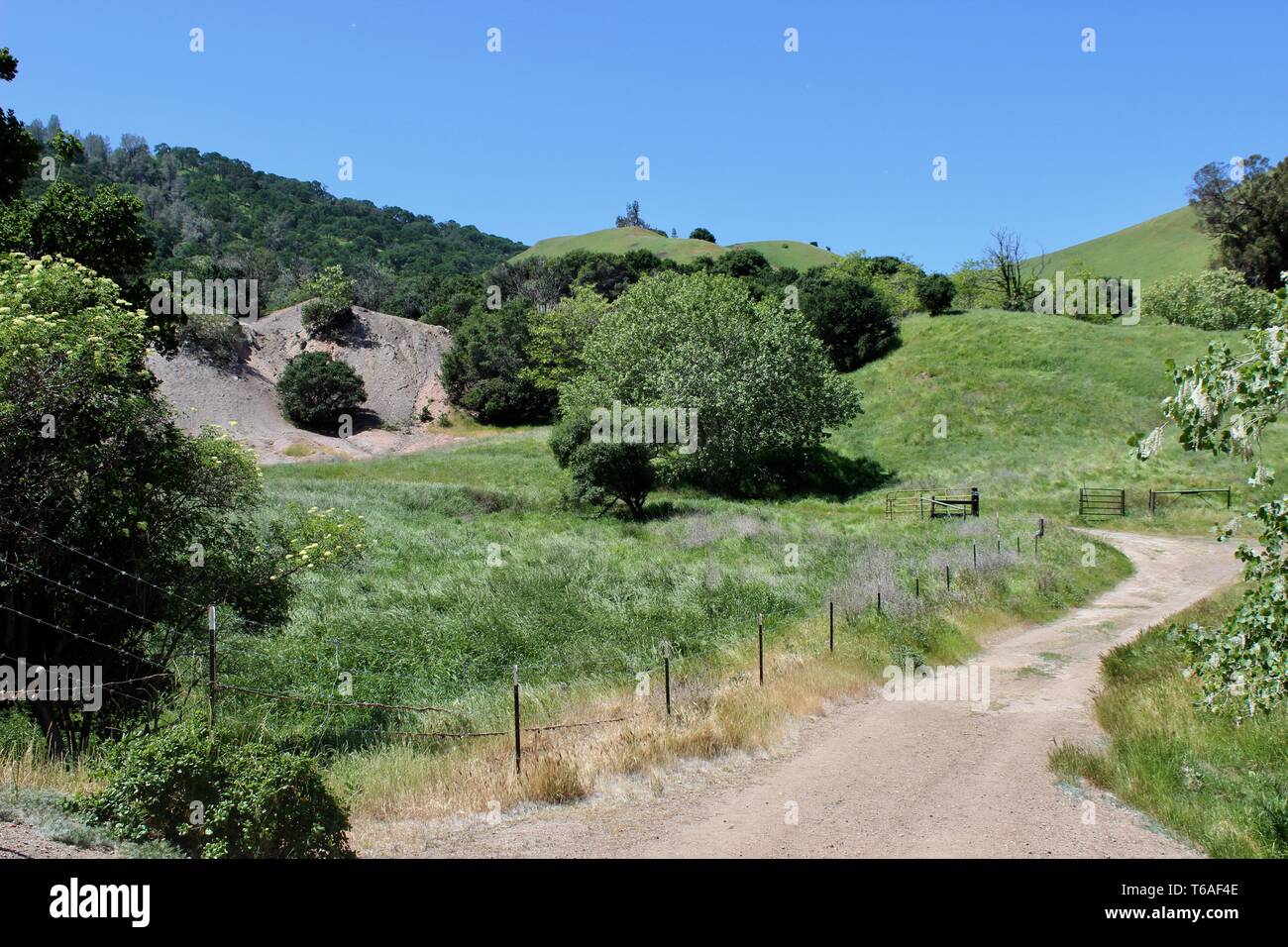Black Diamond Mines Regional Preserve et Antioch, Californie Banque D'Images