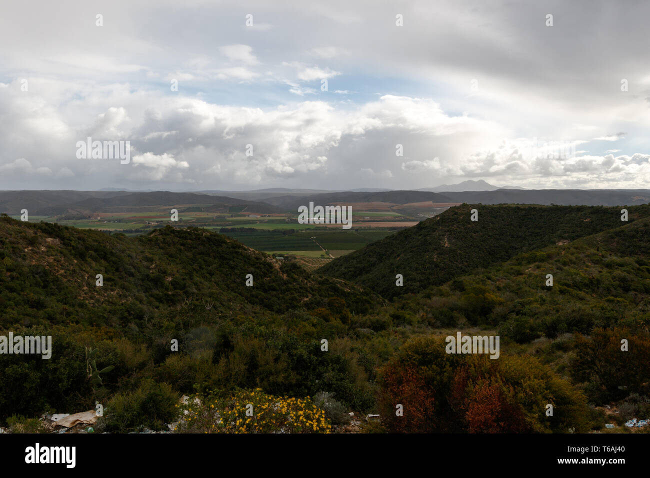 Beau paysage d'Afrique du Sud avec les terres agricoles de l'arrière-plan Banque D'Images