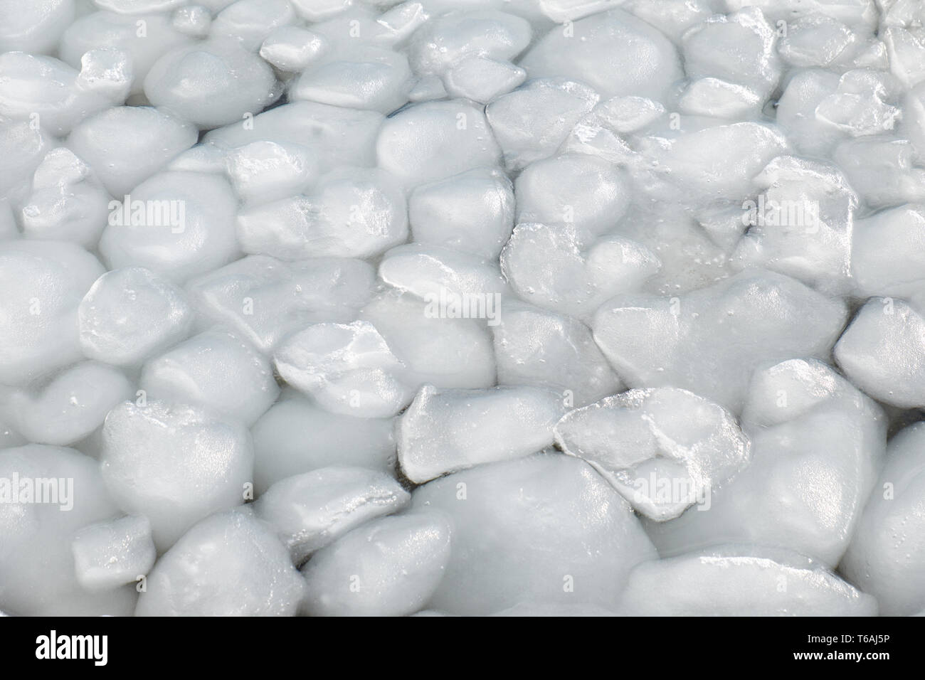 Boules de neige et de glace le frasil sur la surface de l'eau de la rivière de gel au début de l'hiver Banque D'Images