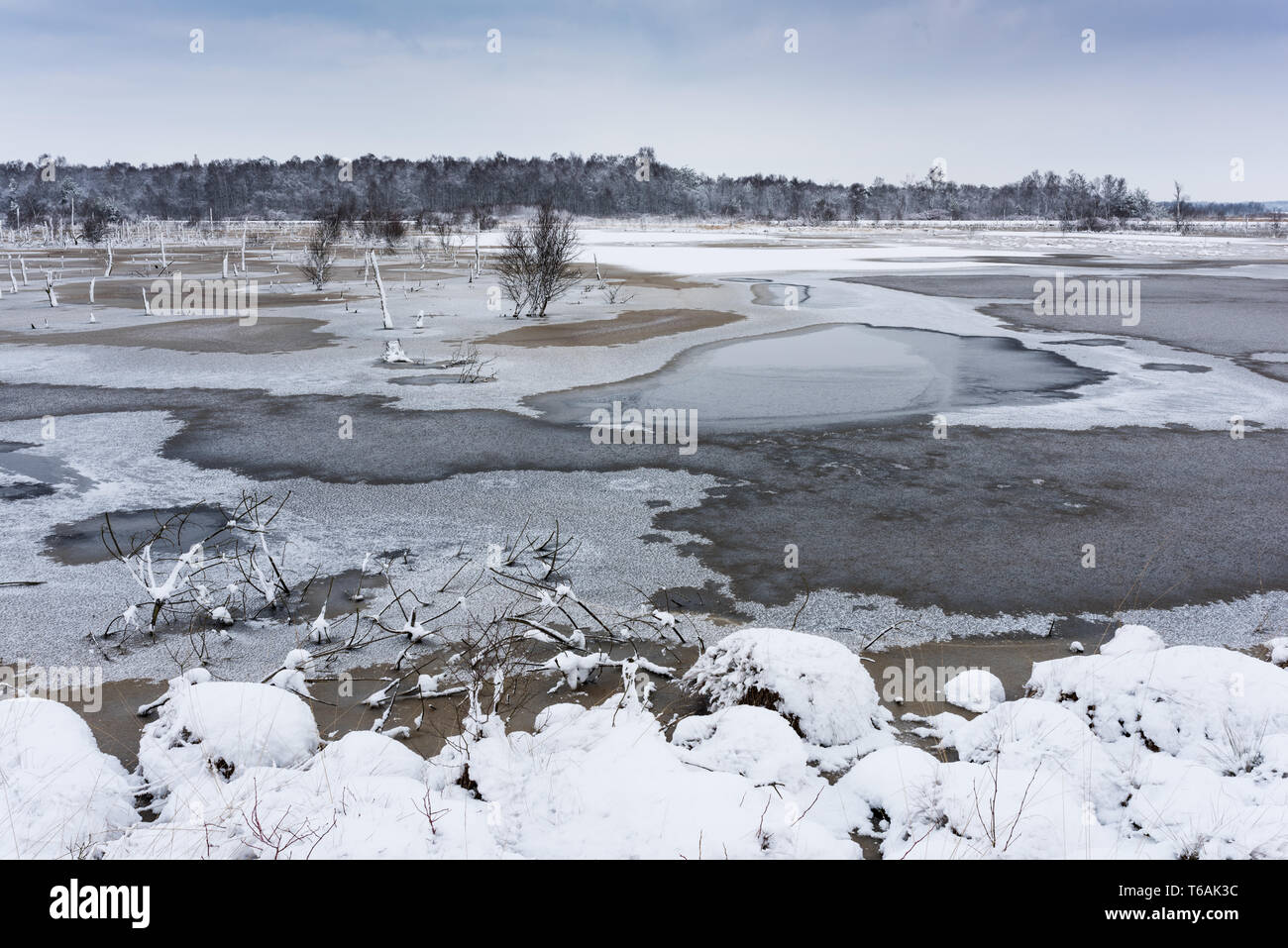 Tourbière allemand en hiver Banque D'Images