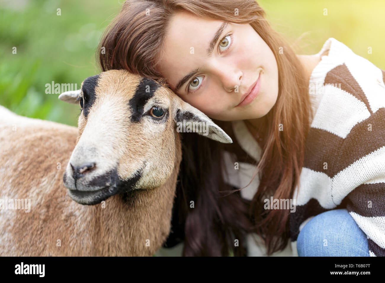 Femme est de caresser un mouton marron Banque D'Images