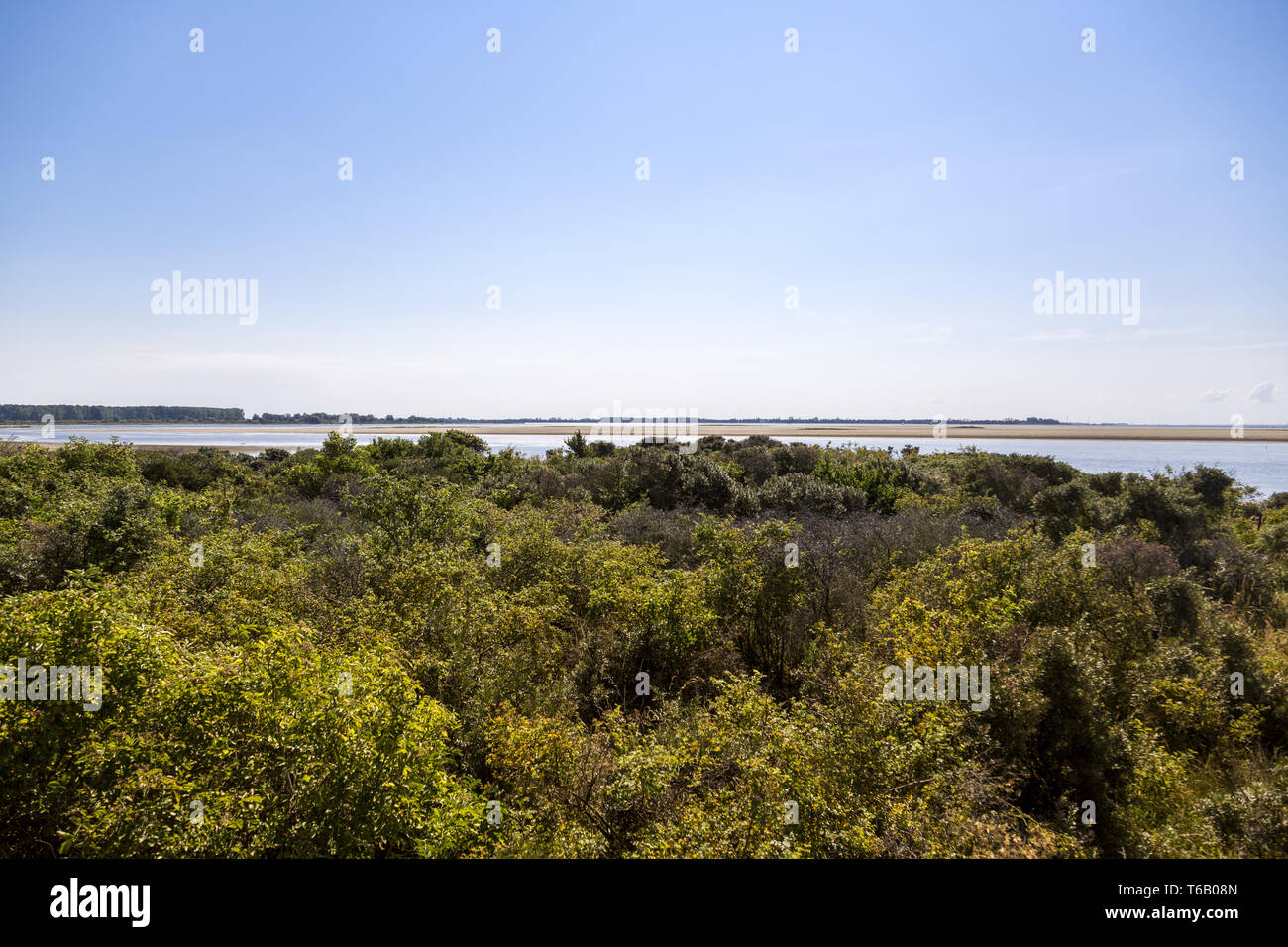 Paysage à l'île de Hiddensee Banque D'Images