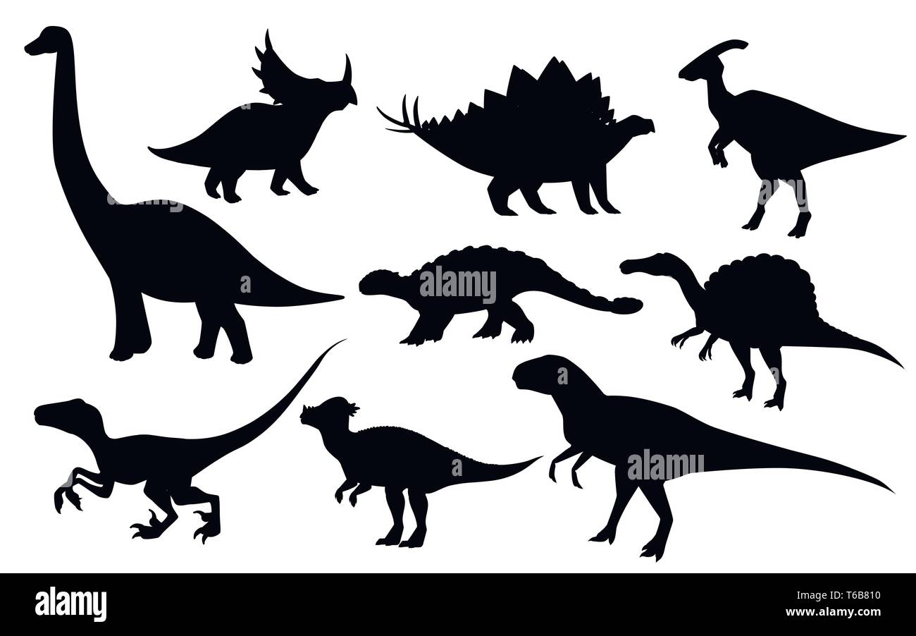 Diplodocus dinosaur silhouette Banque de photographies et d'images à haute  résolution - Alamy
