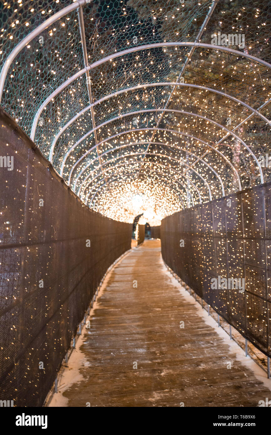 Un couloir couvrir par fairy lights Banque D'Images
