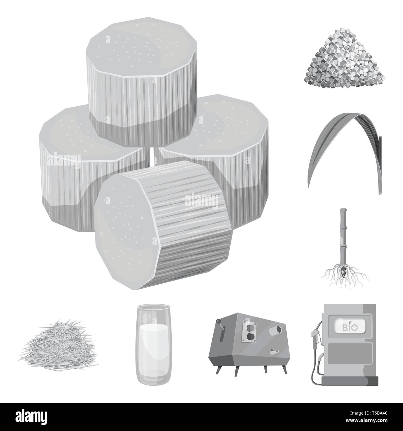 Piece,leaf,root,la bagasse, jus centrifugeuse,essence,cube,granulé,vert,,system,standard,machine,buse,bloc,diabète,métro,fibreux,container,liquide organique,huile,naturel,glucose,extraction de la canne à sucre,sucre,canne,terrain,plantes,DE,plantation,ferme,agriculture,saccharose,technology,set,icône,,illustration,collection,isolé,design,graphisme,élément signe,gris,noir,vecteurs vecteur , Illustration de Vecteur