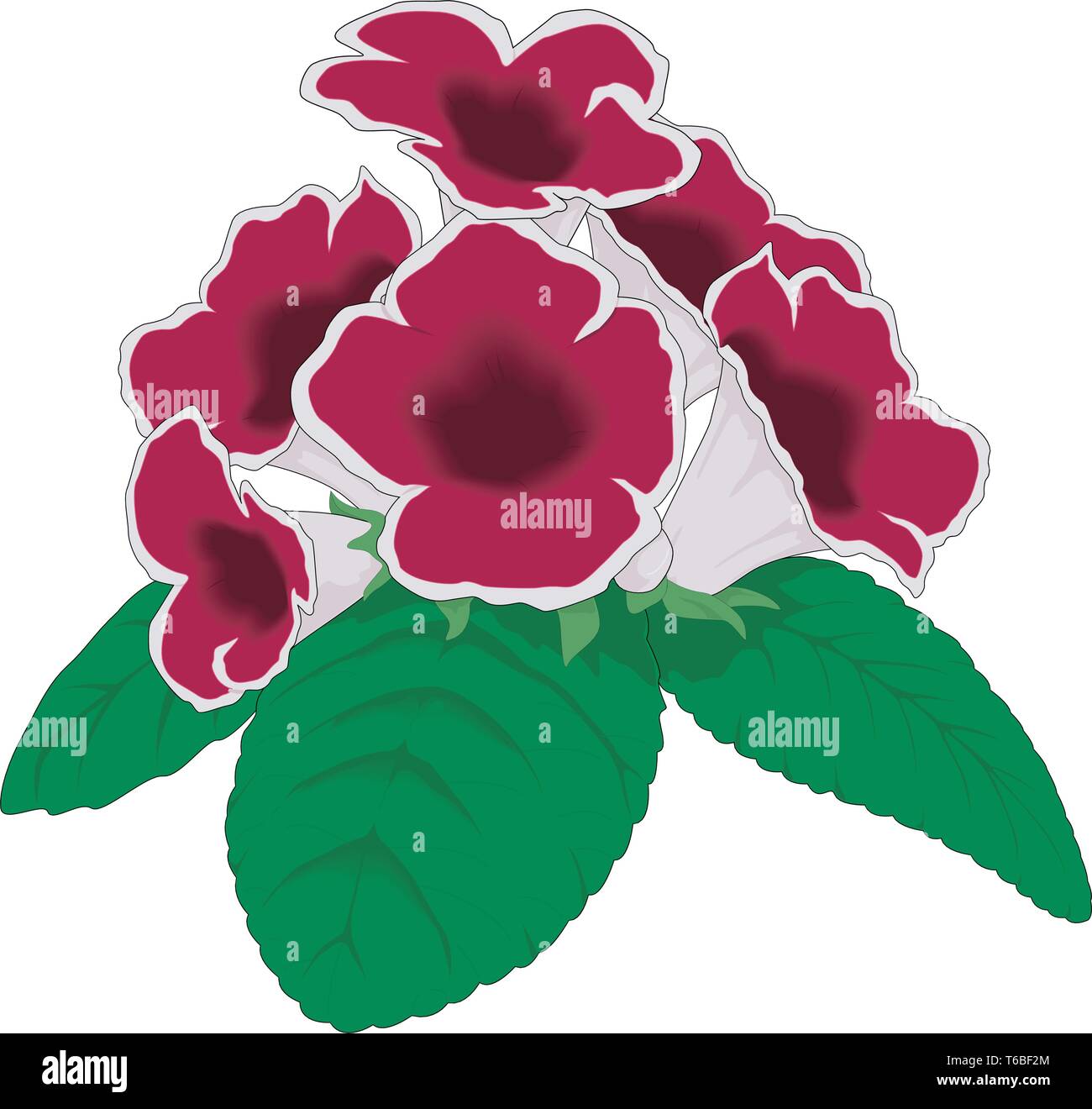 Gloxinia Vector Illustration Illustration de Vecteur