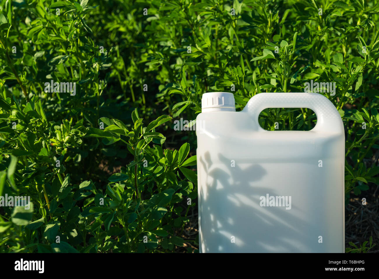 Verseuse de pesticides dans la maquette du champ de trèfle, concept de protection des cultures Banque D'Images
