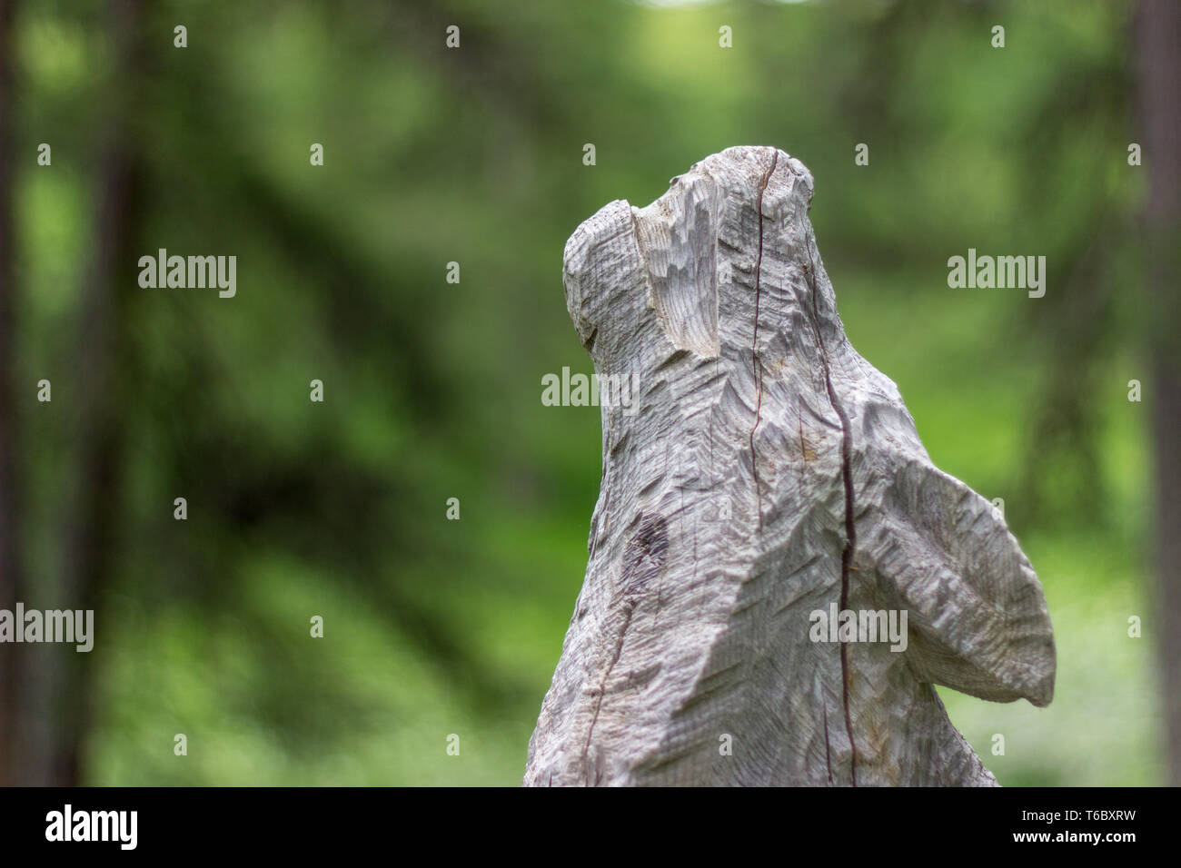 Sculpture en bois d'un Loup Banque D'Images