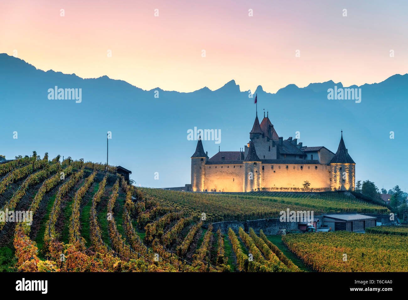 Château d'Aigle, Aigle, Canton de Vaud, Suisse, Europe Banque D'Images