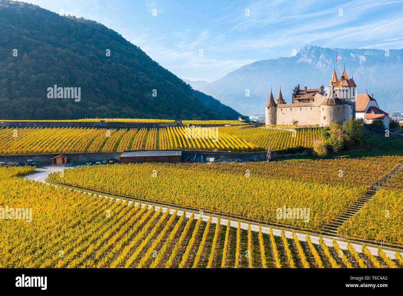 Château d'Aigle, Aigle, Canton de Vaud, Suisse, Europe Banque D'Images