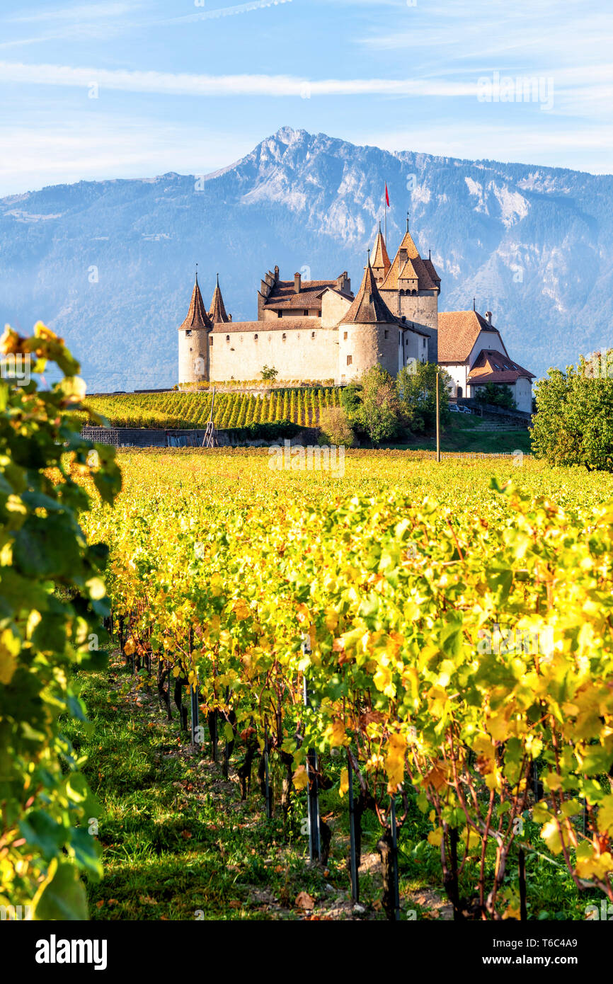 Château d'Aigle, Aigle, Canton de Vaud, Suisse, Europe Banque D'Images