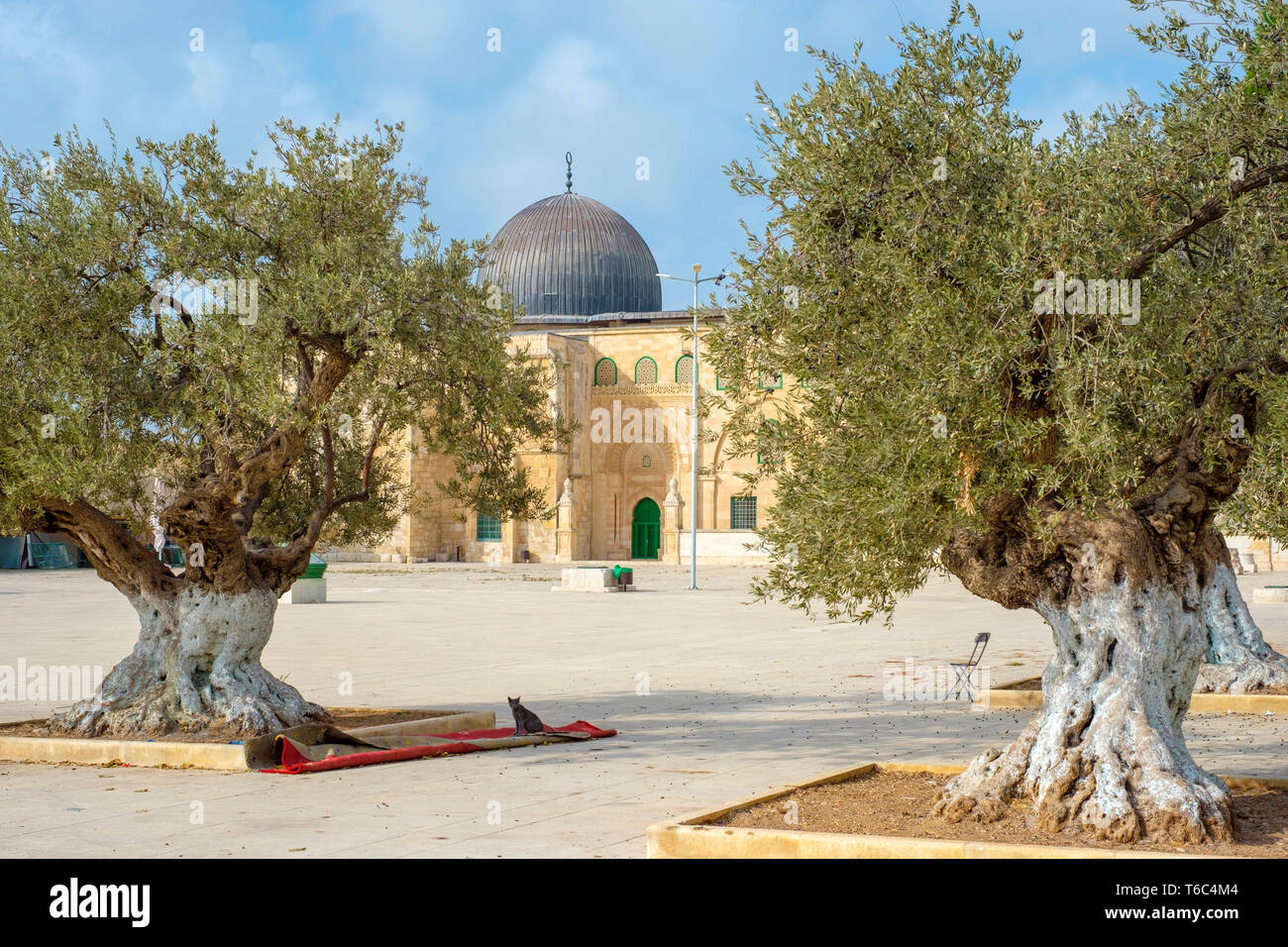 Israël, district de Jérusalem, Jérusalem. Mosquée Al Aqsa sur le mont du Temple dans la vieille ville. Banque D'Images