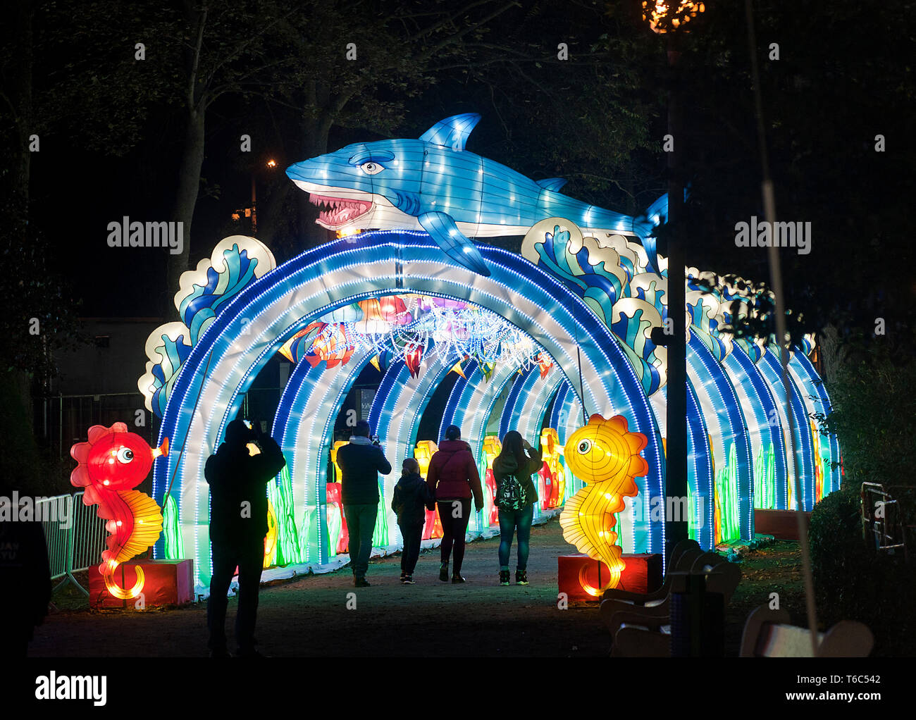 Calais (nord de la France) : la fête des lumières de la Chine, du 20 octobre 2018 au 6 janvier 2019, dans le parc ' parc Saint-Pierre ' à Calais. Cette lanter Banque D'Images