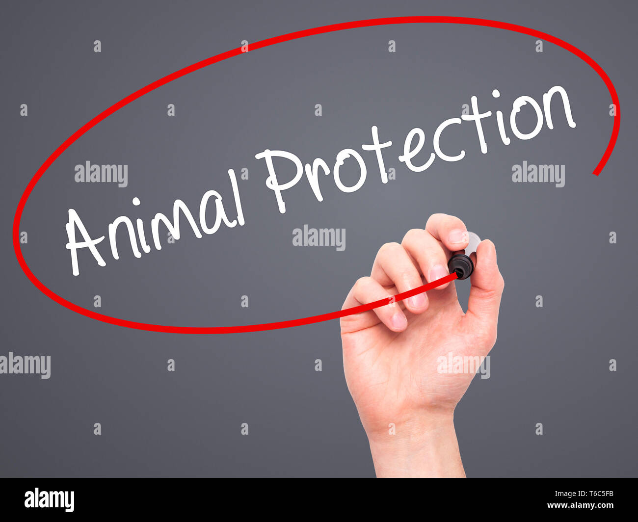 Man main écrit de la protection des animaux avec marqueur noir sur l'écran visuel Banque D'Images