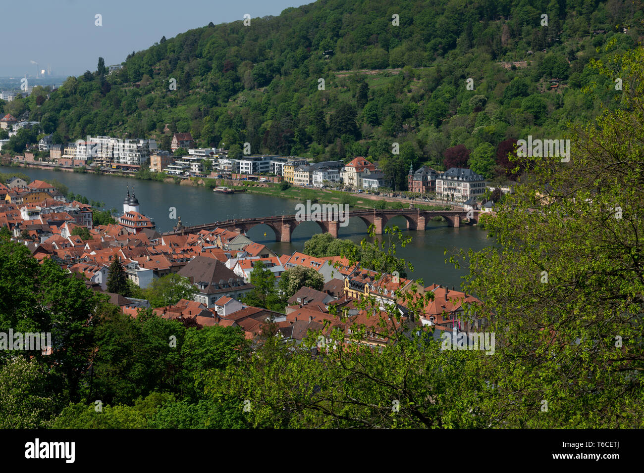 Voyage, Allemagne, Heidelberg, Bade-Wurtemberg, Schlossgarten, 30 avril. Vue sur le centre historique, le Alte Brücke et le Neckar. Banque D'Images