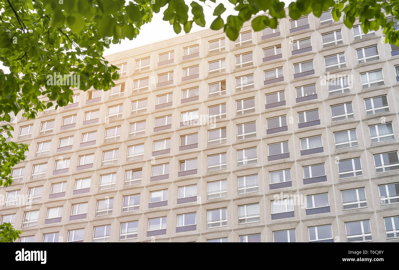 Façade d'un gratte-ciel encadrée par des feuilles Banque D'Images