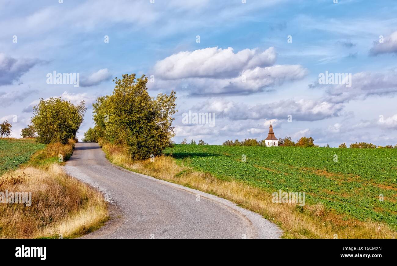 Chemin rural à l'automne avec des arbres jaunes Banque D'Images