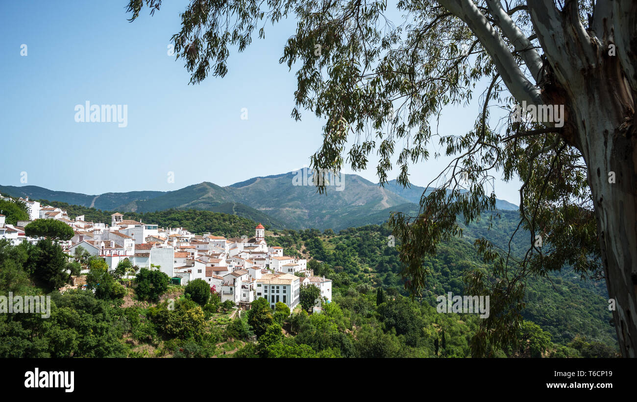 Les villages blancs d'Andalousie dans la forêt de chêne-liège Banque D'Images