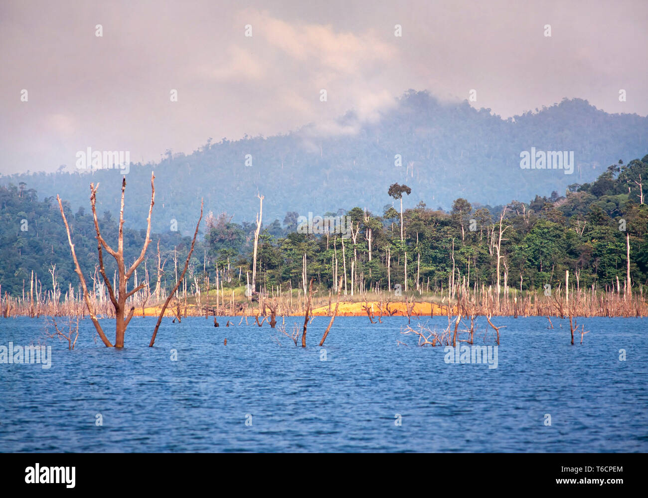 Des forêts tropicales inondées, le lac Kenyir, Pahang, Malaisie. Banque D'Images
