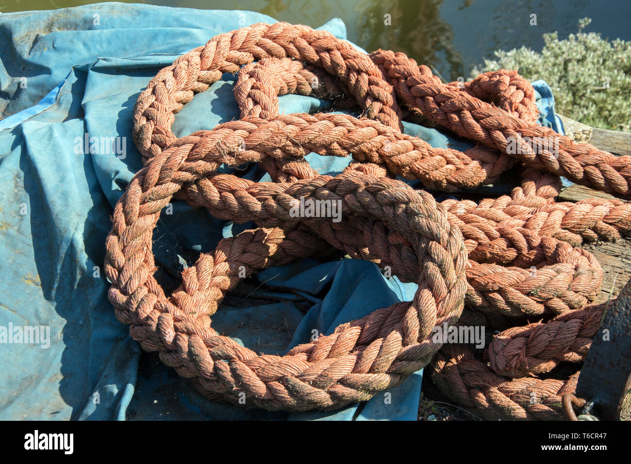 Corde orange enroulé sur une feuille bleue. Banque D'Images